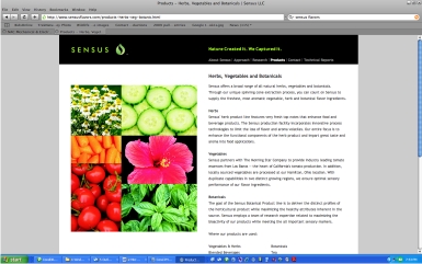 Sensus Flavors typical web page